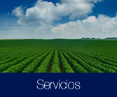 Servicios